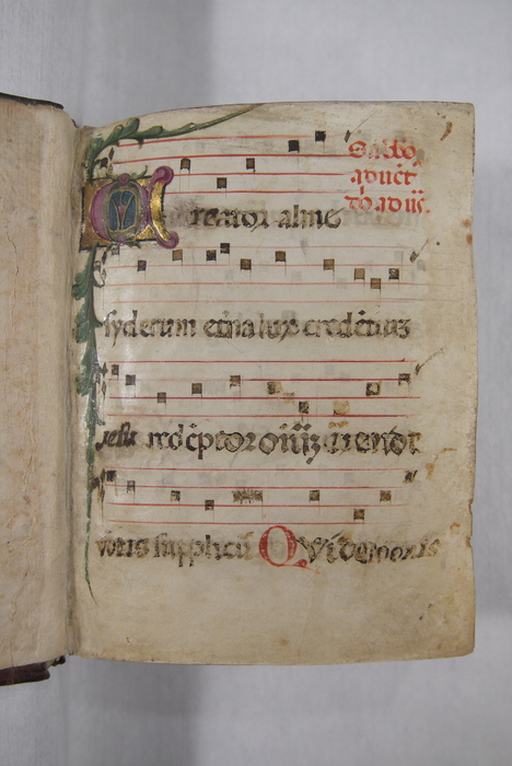 The page of the Noted Hymnal with the illuminated pigment after the solution has been applied.