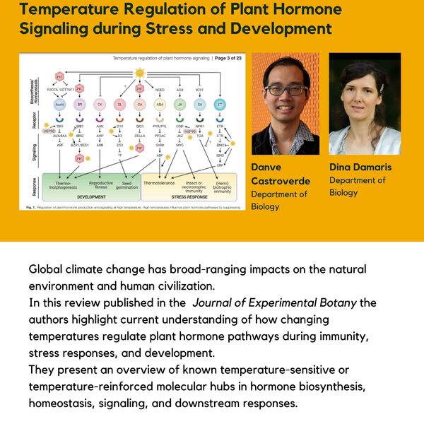 Temperature Regulation of Plant Hormone Signaling During Stress and Development promotional poster for the Celebrating Laurier Achievements program with a headshot of the article's authors Christian Danve and Dina Damaris.